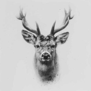 other-animals tattoo design ideas metallic symbolic animals stands for endurance