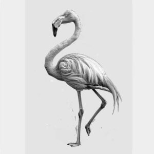bird-shadow-tattoo – tattoo design ideas free ai generated – realism-sharp-focus – for-toe – Gallery: other-birds-inkby-ai