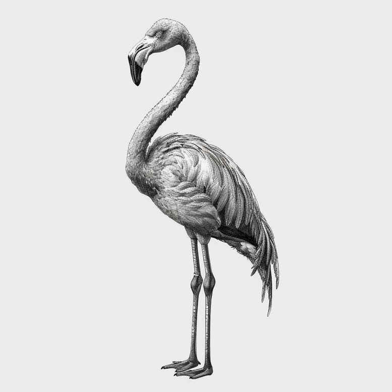 bird-wave-tattoo – tattoo design ideas free ai generated – realism-skin-illusion – for-wrist – Gallery: other-birds-inkby-ai