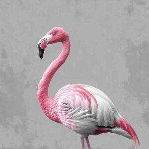 freedom-bird-tattoo – tattoo design ideas free ai generated – surrealism-enigmatic-aura – for-elbow – Gallery: other-birds-inkby-ai