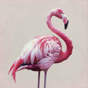 other-birds tattoo design ideas Surrealism impossible forms detailed eyes stands for endurance