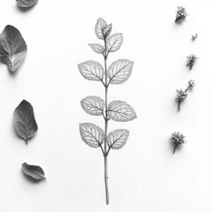 branches tattoo design ideas silent fine natural textures for side torso