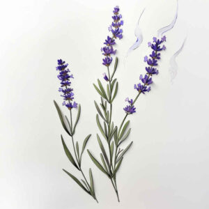 branches tattoo design ideas essential gentle flow symbolising endurance