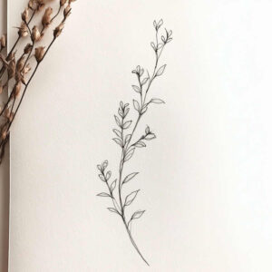 Black line drawing of a sprig with small leaves on white background; left side shows a dried seed pod branch; black ink; project idea; not ideal for cover-up.